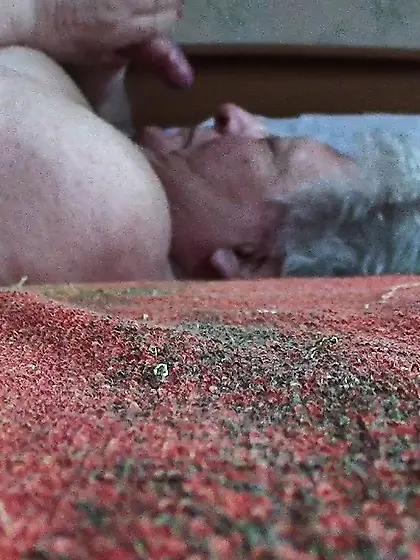 Swiss Granny stolen pics