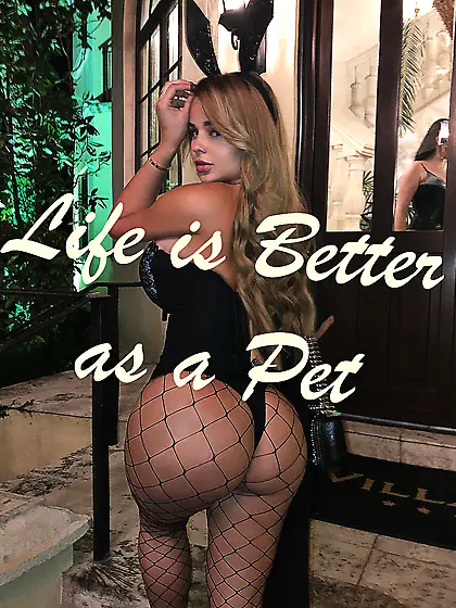 Life is better as a pet