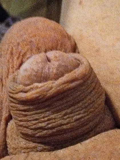 Inside cock ring Small 4skon