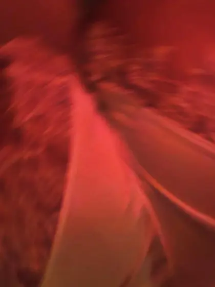 Sluts I found scrolling instagram