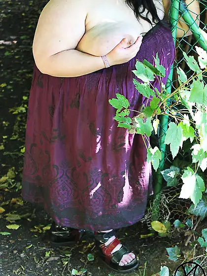 Die Parkbank- The Park Bench III