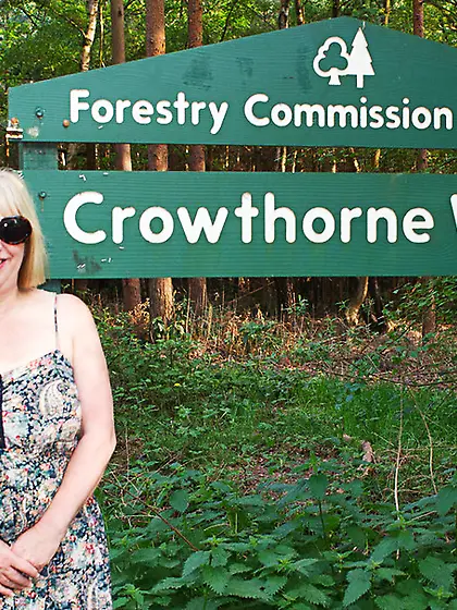 Curvy Flashing Speedy Bee from United Kingdom