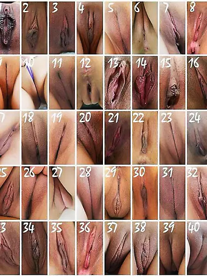 I can't decide,  all of them