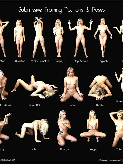 Submission pose chart