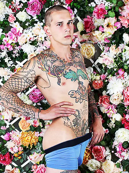 White young man stanstallion