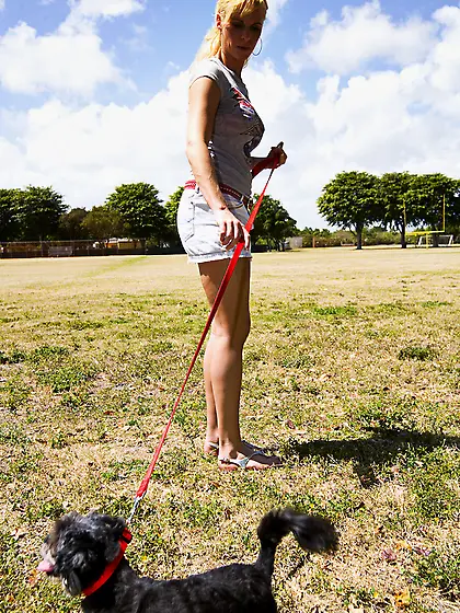 Brittanie Lane spreads her sexy legs outdoors and gets pumped by