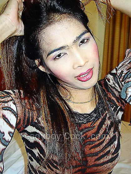 Ass fucking with a hot ladyboy