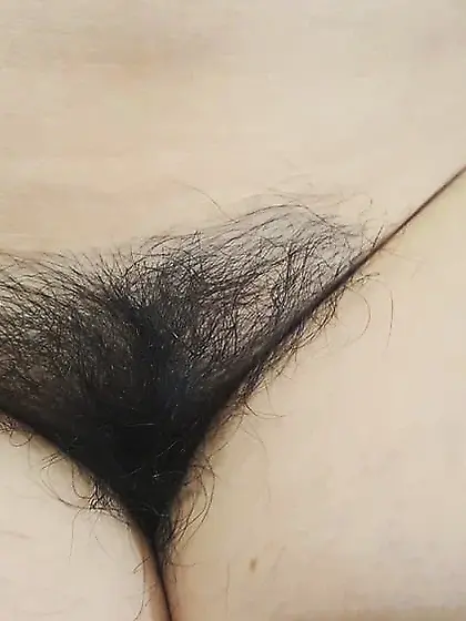 hairy pussy