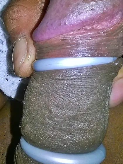 ... mein HengstSchwanz -Blacky-