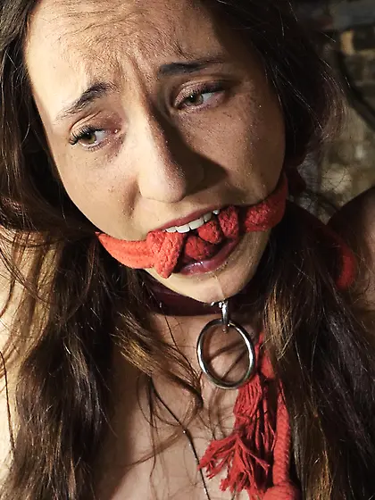 What's Wrong With You? 447 Mila