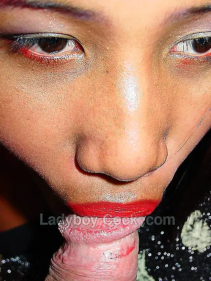 Horny shemale pictures