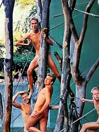 naked guys in a tree