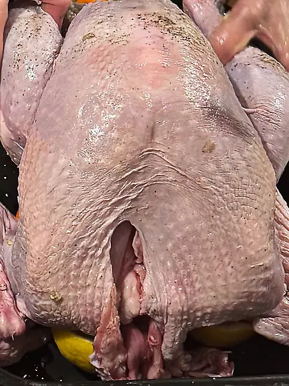 Fuckable Thanksgiving Turkey