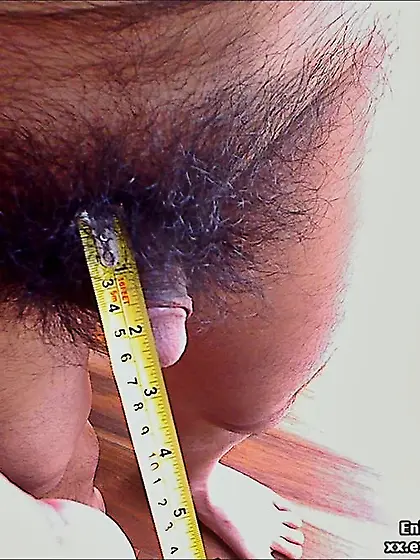 Various penises,  dicks,  cocks.  Volume 27