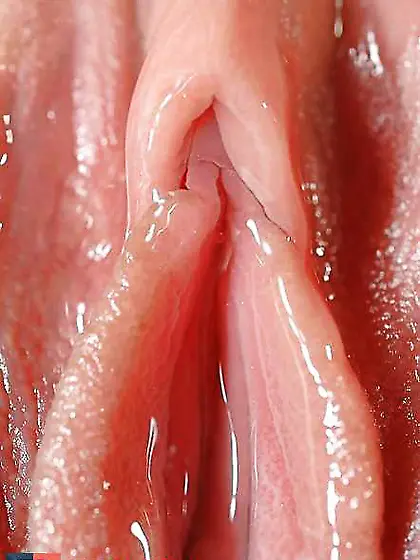 De la chatte, rien que des chattes, encore des chattes