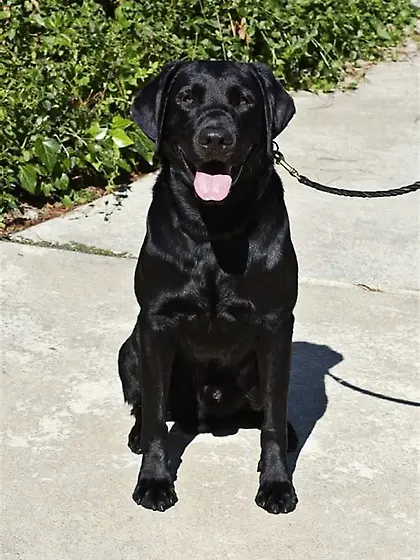 My pics and daughters