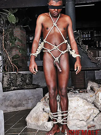 Black Male Slave Sucks Trannies & Assfucked Orgy