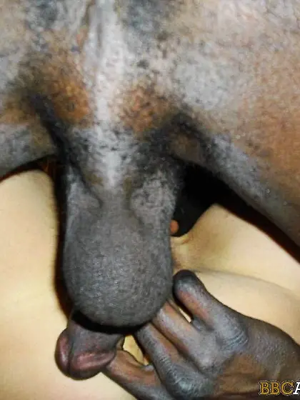 My Wife loves BBC sex.  Cuckold wives are the best.