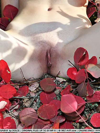 Cute completely naked white haired girl Gabi B demonstrates her