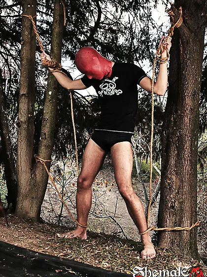 Two shemale cocks for a guy