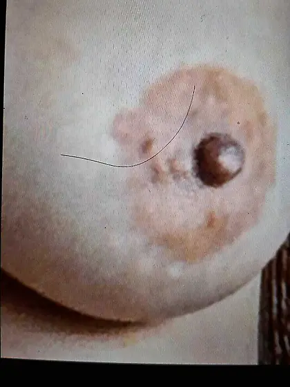 divina esposa.  o come semen le da asco