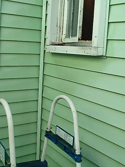 Mature MILF Cute Milf Amy from United States