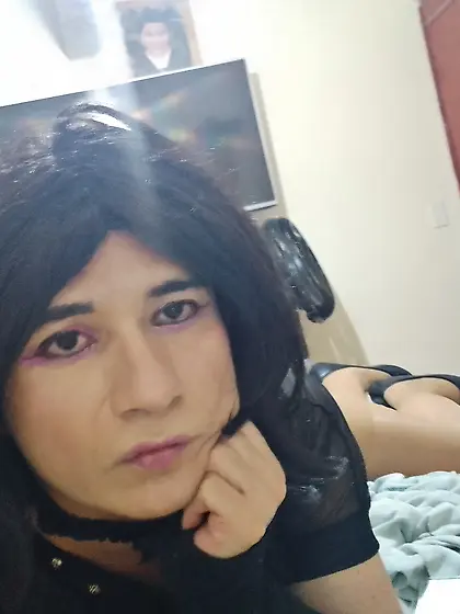 Busco suggar padrote dueño