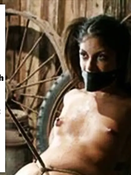 sissystephanie's desired life of BDSM