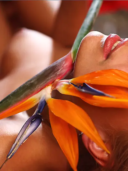 Blonde Nadja MPL got on the bed nude with beautiful flower and s