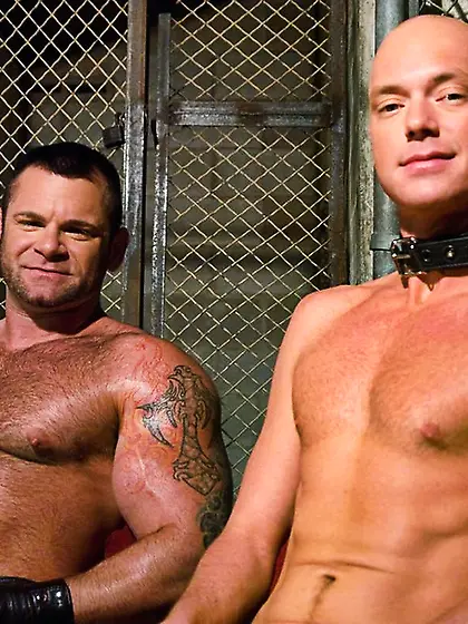 Bald gay collar shitty