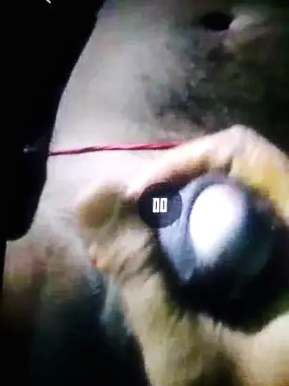 My desi indian wife sex messege big cock 1