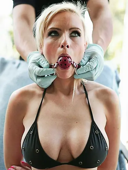 Bodacious Ballgags Vol.  41