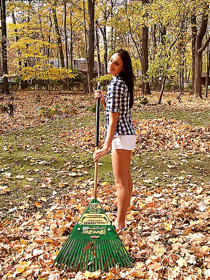 Scrumptious bird flannel shirt