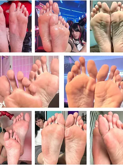 Worship Your Superiors Beta