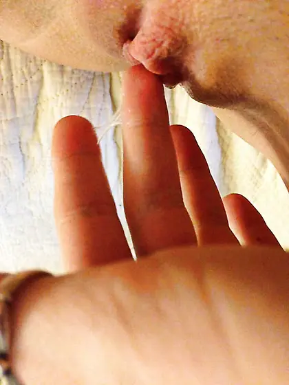 Brush bate selfie teen - masturbation selfies from this skin