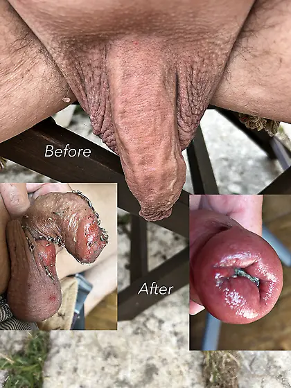 meat,  before / after