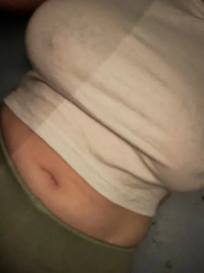 PORN PIGS LAST HURRAH