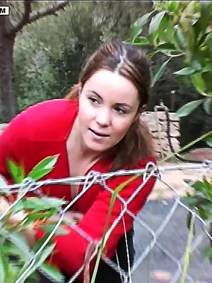 Girl climbed foreign territory