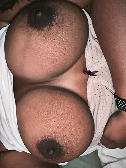 Brazilian tits