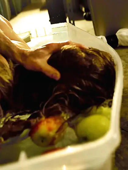 Both mouth and booty hole of filthy porn star Brooklyn Lee are p