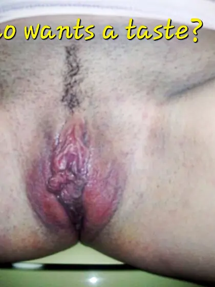 Cuck family album two