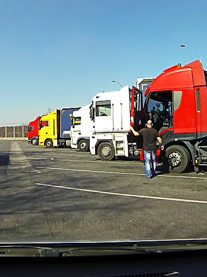 Mature driver good blowjob