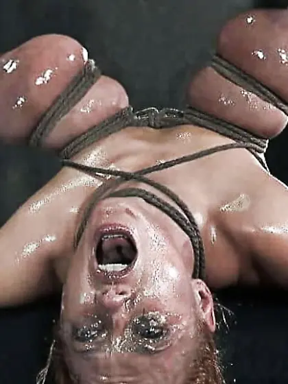 Beautiful dairy cows