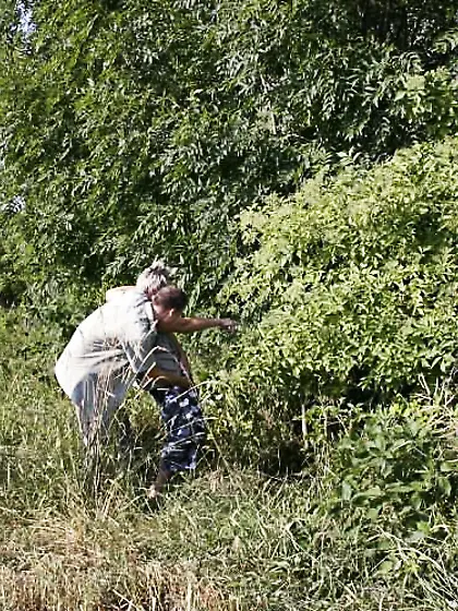 Hot boys green shirts