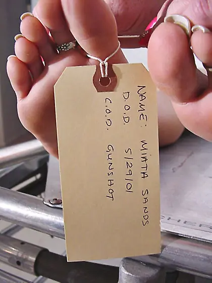 necrobabes - CASE-0B07258 - Ember,  Fiero