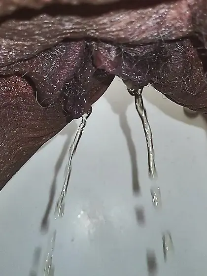 Freaky OG's Piss Pics