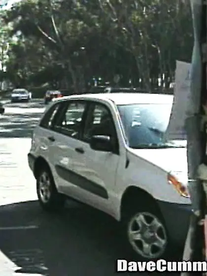 Pigtailed blonde tiny tits