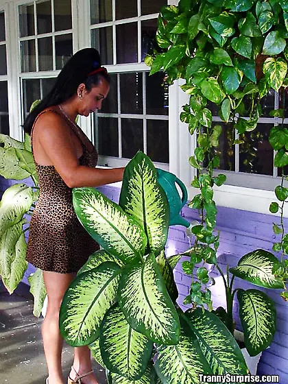 TS gets her tasty tits creamed