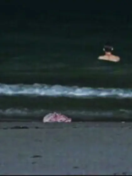 Minka Kelly Nude Pics