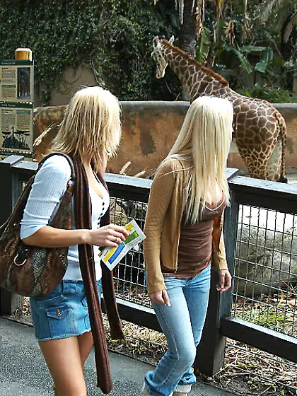 Oily lesbians with nice breasts enjoy fucking each other with hu